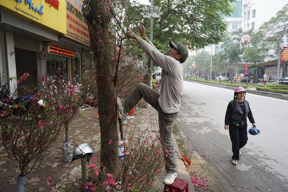 
Đây được xem là con đường buôn bán đào quất lớn nhất tại Hà Nội vào c dịp Tết Nguyên Đán.
