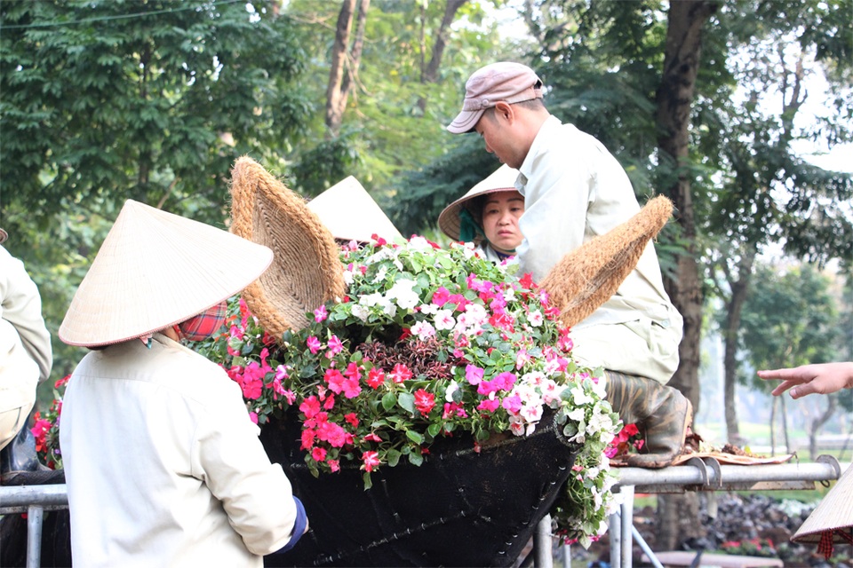 Cận cảnh 12 con giáp "khủng" trong công viên Thống Nhất - 8
Một chú lợn hoa