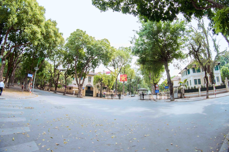 Hà Nội vào mùa cây thay lá với những góc phố nhuốm sắc vàng bao giờ cũng lãng mạn, hoài cổ và níu chân bất bất cứ ai.