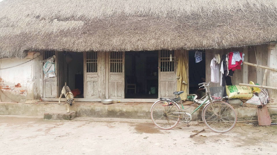 Độc đáo những ngôi nhà mái cói còn lại hiếm hoi ở Ninh Bình - 2 Những năm trước, đời sống người dân vùng biển này còn nhiều khó khăn, kinh tế phụ thuộc vào nông nghiệp nên phát triển kém, để có tiền xây được căn nhà kiên cố lợp ngói hay đổ mái bằng là cả một quá trình phấn đấu. Nhiều hộ trồng cói, làm nghề thủ công mỹ nghệ đã chọn bổi (thân cói loại không sử dụng được) để lợp nhà. Cũng vì thế mà nhà mái bổi gắn bó với người dân miền biển này từ xa xưa đến nay.