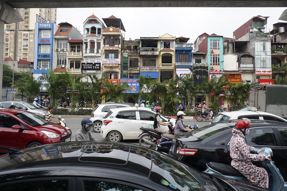 
Hàng cây cau cảnh mới trồng trong bối cảnh giao thông đông đúc trên đường Nguyễn Trãi.
