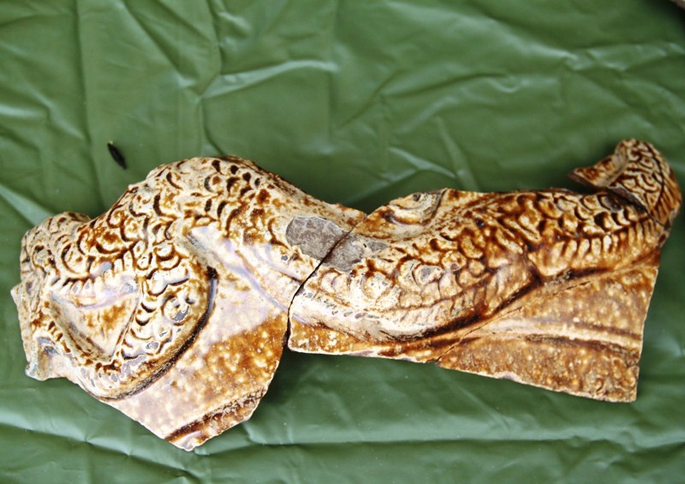 Chuyên gia quốc tế thực địa các di chỉ gốm ở Bình Định - 10