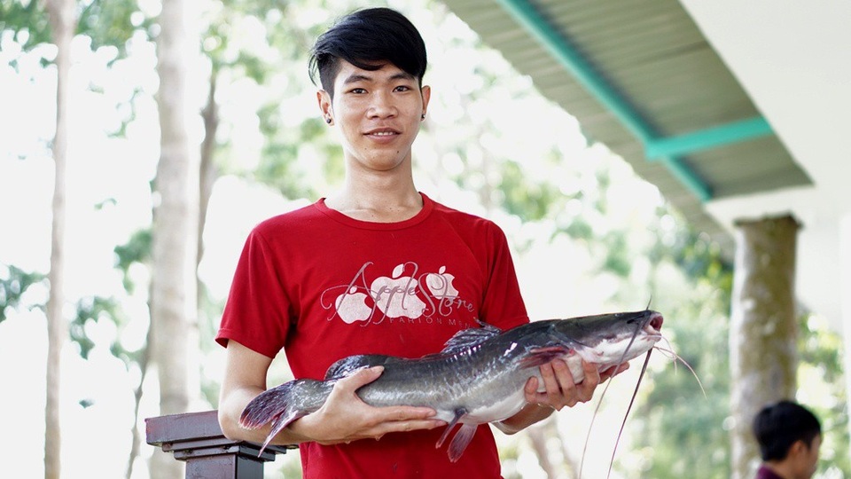 Về Đồng Nai nhớ ghé thăm Đảo Ó - 9 Ẩm thực nơi đây đa dạng, mang nét đặt đặc trưng riêng của vùng hồ Trị An. Trên tay đầu bếp người địa phương này là một con cá lăng nuôi bè nặng gần 5 ký