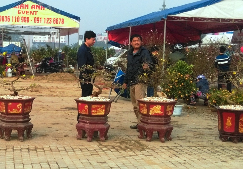 Đào, mai ế ẩm… quất “lên ngôi” ngày cận Tết - 9 Mai vàng cũng ít khách ghé mua