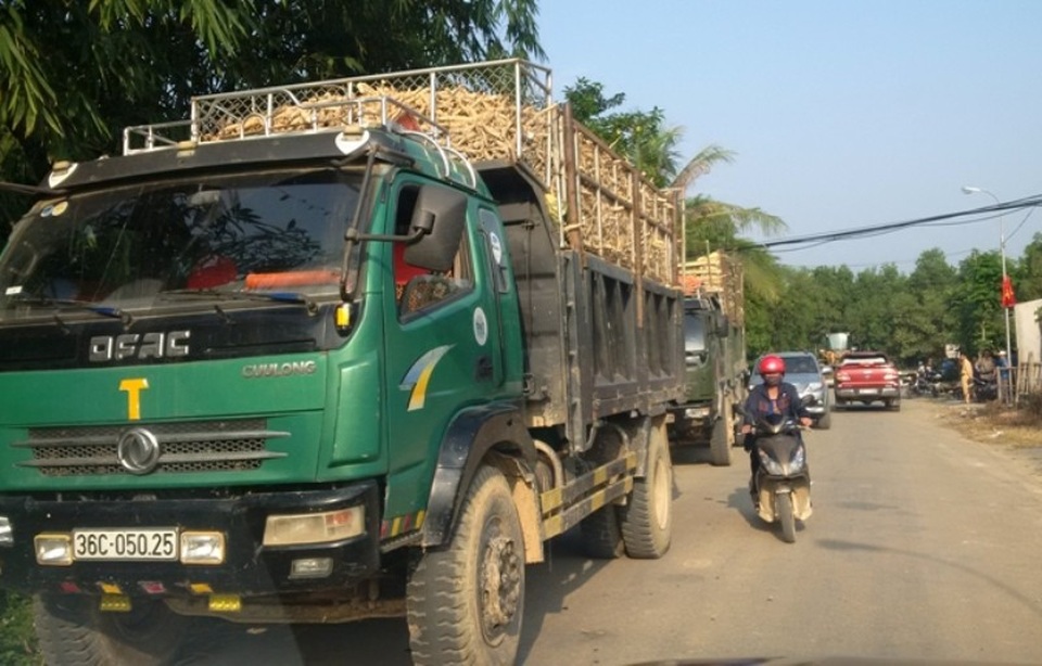 Tài xế xe quá khổ, quá tải bất hợp tác lực lượng chức năng - 1 Hàng loạt xe chở quá khổ không chấp hành lực lượng CSGT