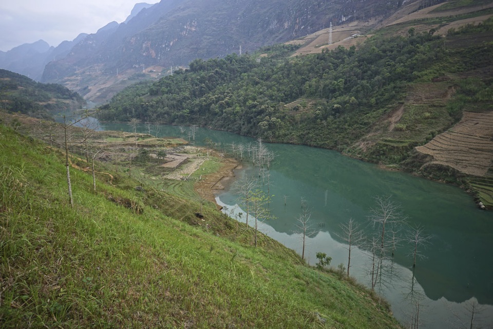 24h du ngoạn dọc dòng sông huyền thoại trên cao nguyên đá - 11 Những vạt cây gạo ven sông bị ngập nước sau khi đập thủy điện Nho Quế 2 được xây dựng.