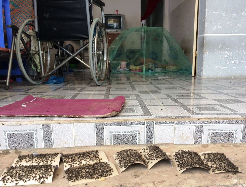 Sau vụ cháy cực lớn kéo dài 5 ngày, “giặc ruồi” bất ngờ bủa vây - 10
Đủ chiêu đối phó với ruồi.
