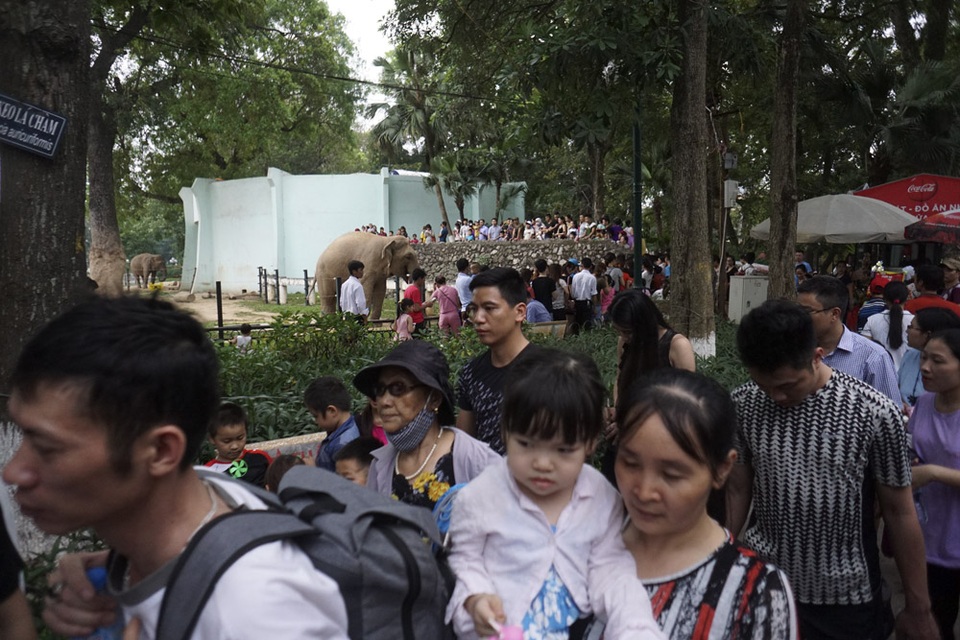 Tiếp tục... nghẹt thở ở công viên Thủ Lệ - 11
Tại các vị trí tham quan chuồng thú cũng không còn chỗ trống.