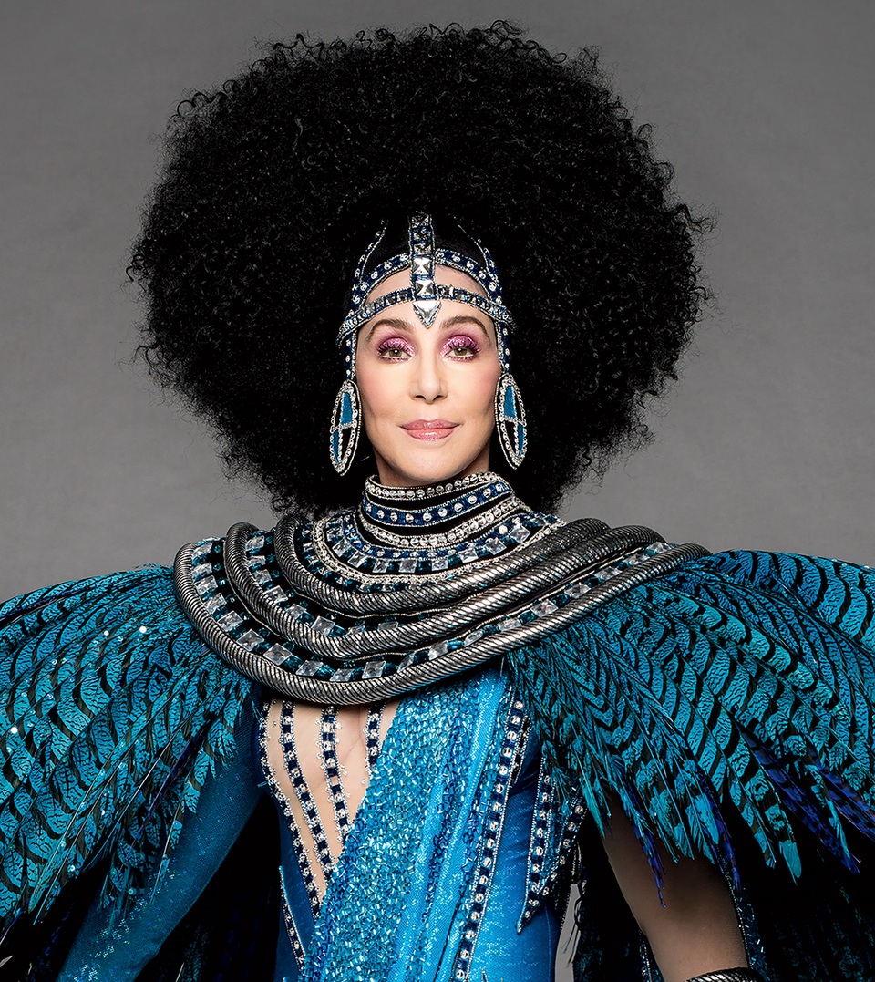 Cher: Trong “Dressed to Kill Tour” (2014), Cher đã phải hoãn tới 29 buổi biểu diễn vì bị nhiễm virus nguy hiểm gây ảnh hưởng tới hoạt động của thận.