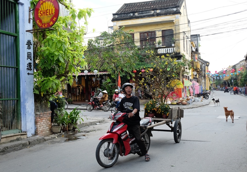 Hội An nắng đẹp, bình yên trước thềm Xuân Đinh Dậu - 8