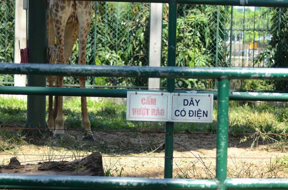 Đến Thảo Cầm Viên để… chọc phá thú (?!) - 8 Có bảng cảnh báo những nhiều người vẫn không tuân thủ.