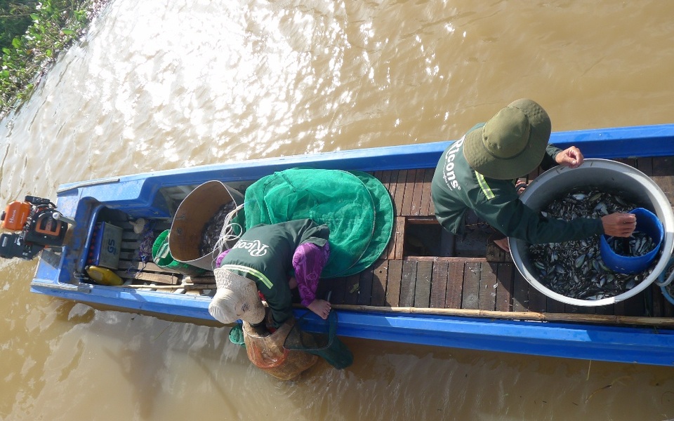 Chộn rộn chợ cá đồng... mùa nước nổi - 9 Chộn rộn chợ cá đồng... mùa nước nổi - 9