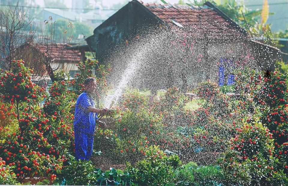 
Một tác phẩm khác của tác giả Nguyễn Xuân Chính ghi lại màu sắc Tết Nguyên Đán trên cánh đồng quất ở Hà Nội.

Những khoảnh khắc đẹp của các tác phẩm cho thấy bên cạnh nhịp sống sôi động của đô thị là một Hà Nội có chiều sâu văn hóa.

