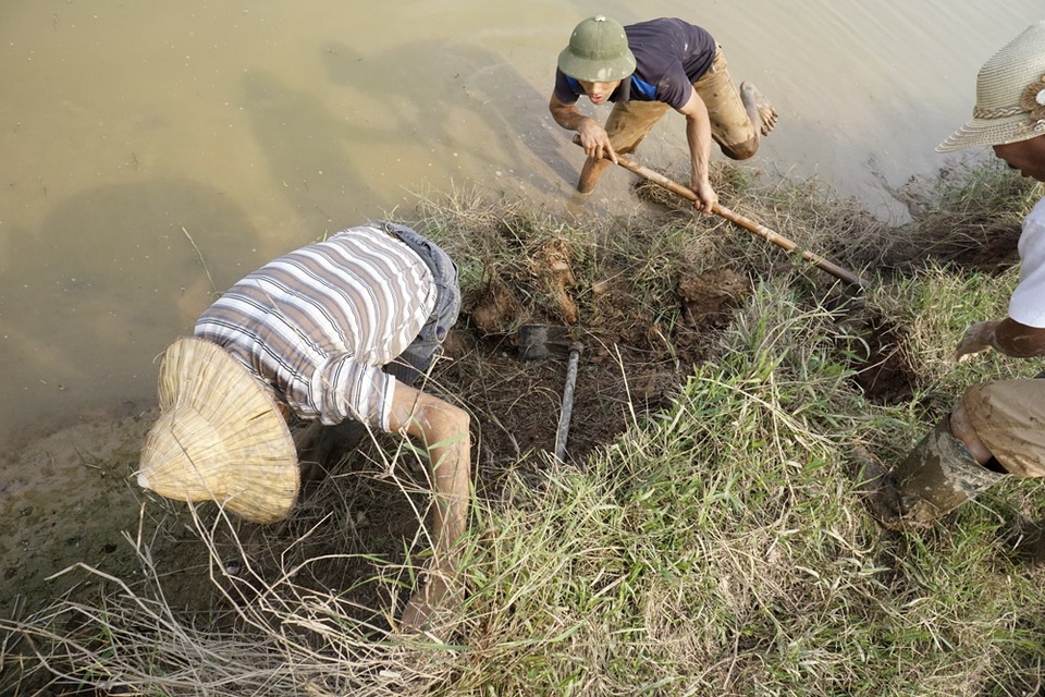 Theo chân thợ săn chuột đồng ở ngoại thành Hà Nội - 12