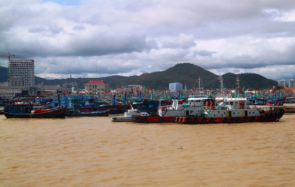 Tan hoang vịnh biển nơi bão “nuốt chửng” 10 tàu hàng, khiến 13 người chết - 10 Cảng Quy Nhơn quá tải không thể chứa hết các tàu bị đánh chìm