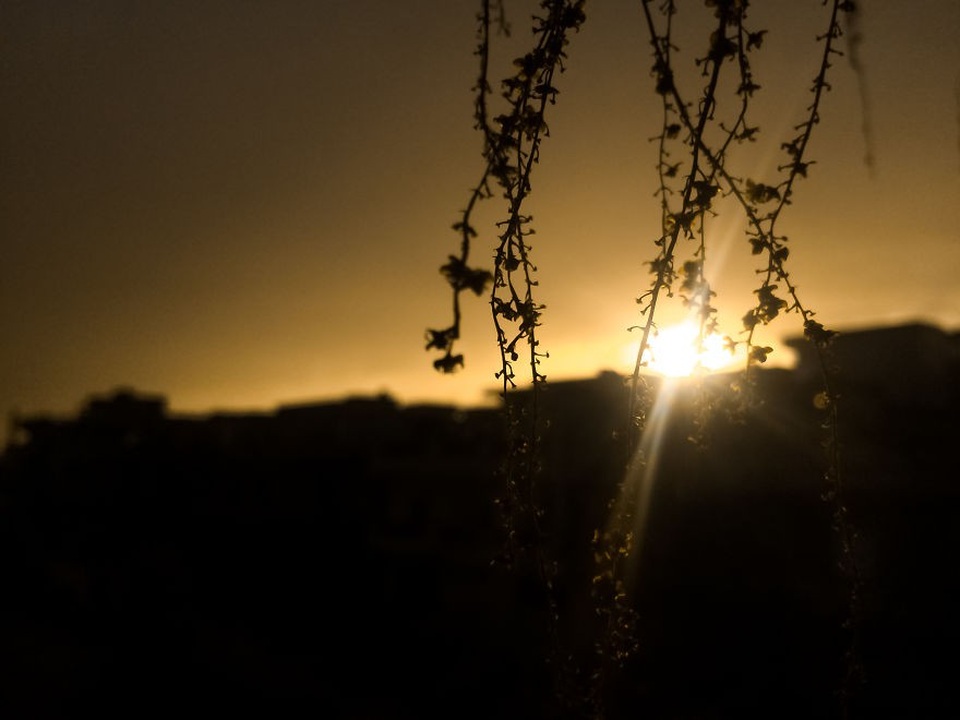 Ảnh mặt trời xuống núi vào một buổi chiều hoàng hôn.