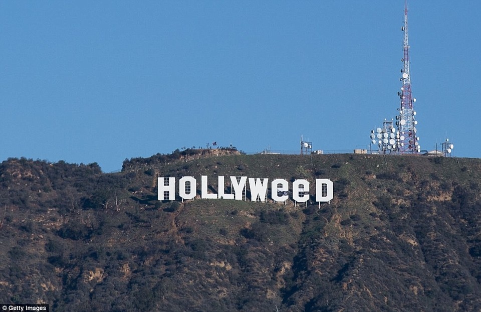Dòng chữ biểu tượng của Hollywood mới đây đã bị một người đàn ông dùng vải nhựa trắng - đen “chỉnh sửa” lại thành “Hollyweed”. Cách đây 41 năm, trò đùa tếu này đã từng được thực hiện lần đầu tiên bởi một sinh viên mỹ thuật.