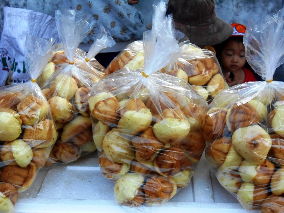 Quảng Nam: Tưng bừng khai hội dinh Bà Chiêm Sơn - 10