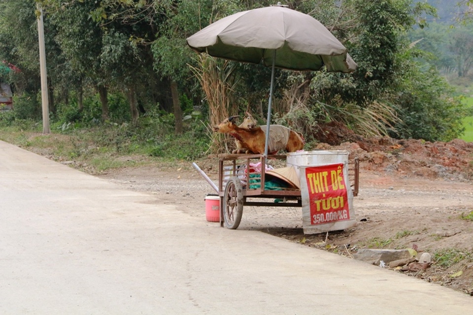 Ninh Bình: Kiếm tiền triệu trong ngày nhờ bán thịt dê - 13 Một quầy bán thịt dê ngay bên đường đầy bụi bẩn. Sắp tới, chính quyền địa phương sẽ quy hoạch những hộ dân bán thịt dê ven đường này vào một địa điểm buôn bán để kiểm soát được giá cả cũng như đảm bảo vệ sinh an toàn thực phẩm cho khách hàng, góp phần tạo nguồn thu và thúc đẩy ngành du lịch Ninh Bình ngày càng phát triển.