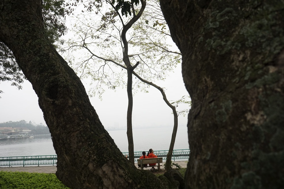 Hà Nội vào mùa hoa sưa trắng - 14 Những cây sưa hoa trắng khẳng khiu ven hồ Tây.