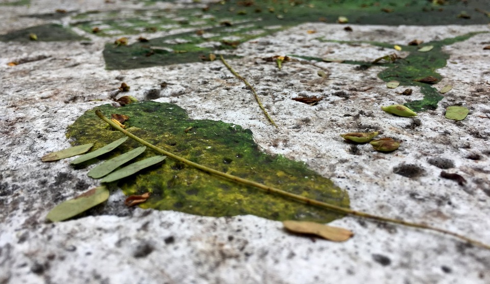 Loại sơn dùng cho các tác phẩm này cũng khá tốt, ngoài trời nắng mưa nhưng vẫn giữ được màu sắc.