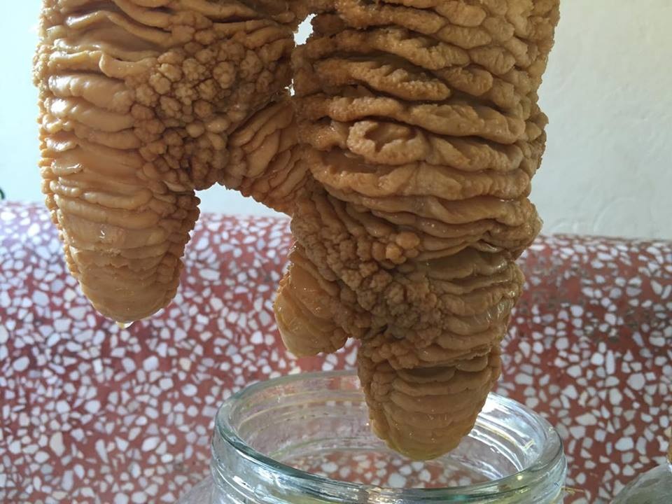 Dàn chân gà Đông Tảo “khủng” ngâm rượu của dân chơi Việt - 1 Cặp chân gà nặng khoảng 2kg tại trại gà nhà anh Giang Tuấn Trưởng. (Ảnh: T.T)