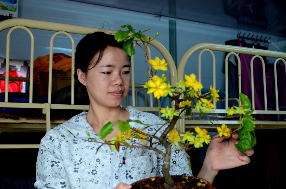 TPHCM: Hối hả nhịp lao động xuyên Tết trên công trường chống ngập - 17 Chị Niềm phụ trách nấu ăn cho anh em đang chăm sóc cho cây mai vàng được cán bộ quản lý tặng để chưng tết.