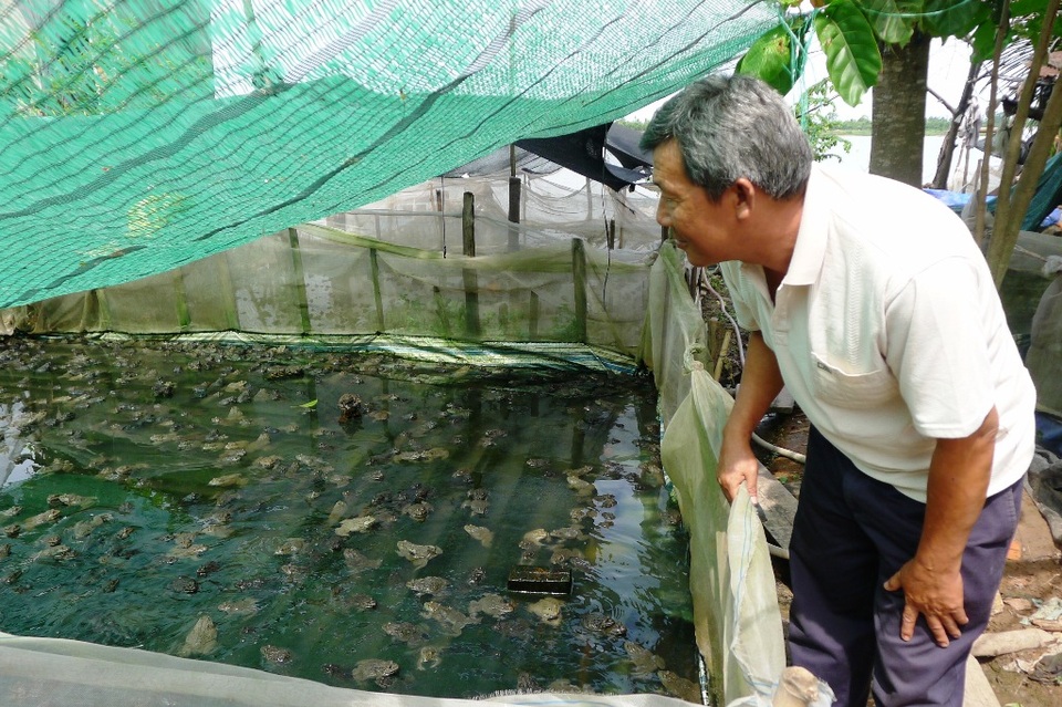 Dân vẫn liều mình sinh sống sát “miệng hà bá” - 2
Ông Nguyễn Văn Hiệp không có đất sản xuất, mấy năm nay cuộc sống gia đình ông nhờ vào nghề nuôi ếch...
