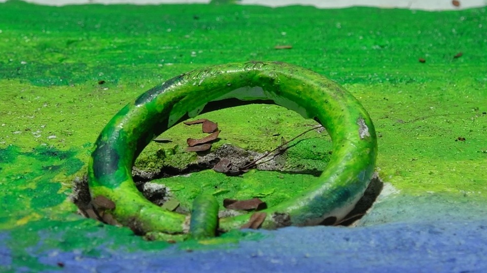 Các nghệ sĩ đường phố này chăm chút khá kỹ các tiểu tiết. Chiếc khoen nắp cũng được trang trí hòa quyện vào tổng thể của bức tranh trên nắp cống.