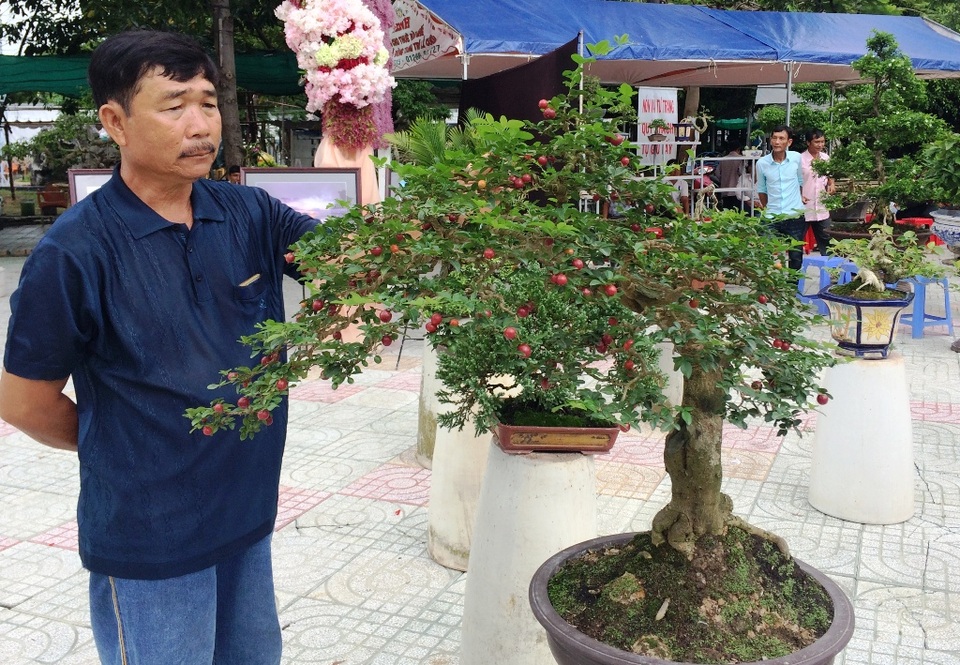 Ngắm những cây kiểng có dáng độc, lạ nhất nhì miền Tây - 3 Ông Lê Văn Minh - Chủ tịch Hội sinh vật cảnh TP Châu Đốc cho biết, đối với cây Kim Quýt này tuy nhỏ nhưng đã có tuổi thọ trên 20 năm, đây là một loại cây rất chậm lớn.