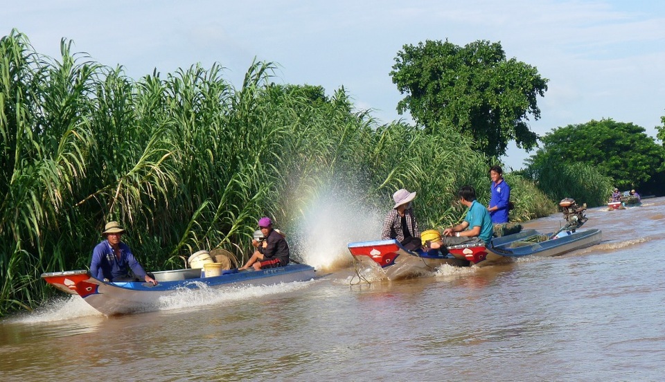Chộn rộn chợ cá đồng... mùa nước nổi - 13
Sau khi cân cá xong, các ngư dân đua nhau về nhà, tranh thủ nghỉ ngơi để 2 giờ sáng tiếp tục đi thăm câu, lưới, dớn...