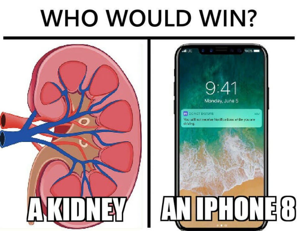 Nhiều người đắn đo giữa việc bán thận đi để mua iPhone mới.