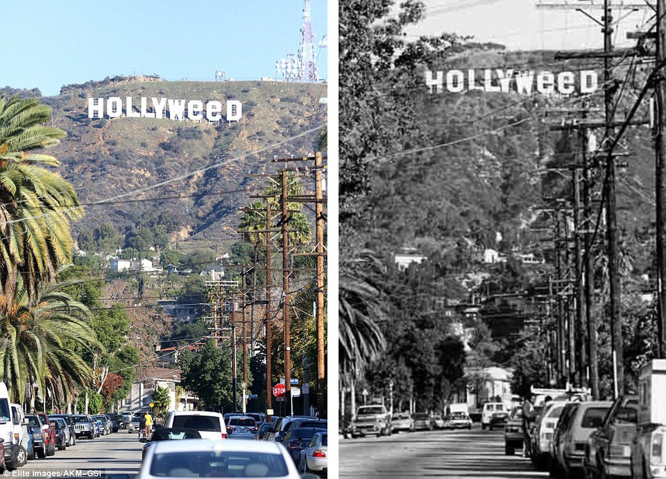 Ý tưởng “chỉnh sửa” này lần đầu tiên xuất hiện hồi năm 1976 (ảnh phải) khi một sinh viên mỹ thuật có tên Danny Finegood quyết định “làm mới” cho dòng chữ biểu tượng quen thuộc của kinh đô điện ảnh. Danny Finegood đã qua đời năm 2007 ở tuổi 52 vì bệnh ung thư. Hiện tại, danh tính của người vừa mới thực hiện hành động “chỉnh sửa” vẫn chưa được tìm ra nhưng cảnh sát cho biết chắc chắn sẽ có hình phạt.