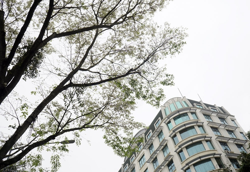 Hà Nội vào mùa hoa sưa trắng - 10 Hà Nội vào mùa hoa sưa trắng - 10