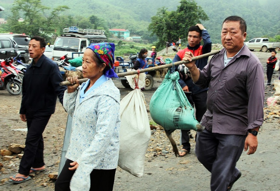 “Chen chân” ở chợ vùng biên trong kỳ nghỉ lễ - 6 Vợ chồng gánh lợn ra chợ.