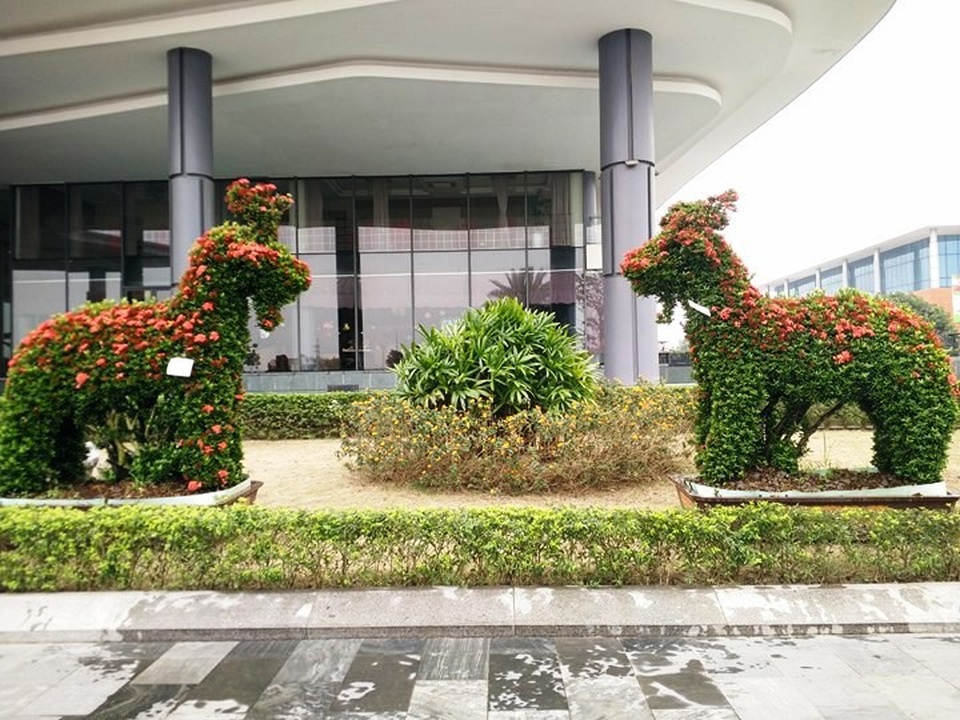 Những linh vật “khủng” tạo hình từ hàng trăm cây hoa mẫu đơn - 7 Đôi Tỳ Hưu cũng được cắt tỉa công phu, đang nở hoa khắp các bộ phận trên cơ thể chào đón mùa xuân mới. Đôi linh vật này có giá trên chục triệu đồng, theo quan niệm phong thủy, người chơi Tỳ Hưu sẽ kiếm được thật nhiều tiền, ít phải chi tiêu nhiều nên tiền giữ được trong nhà như Tỳ Hưu ăn vào không thải ra.