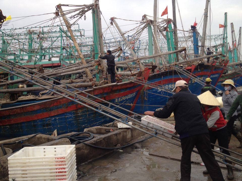 Những khay cá được đưa từ thuyền vào bờ.