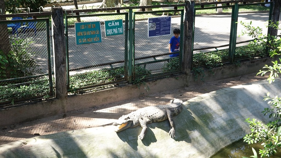 Đến Thảo Cầm Viên để… chọc phá thú (?!) - 13 Vị trí này thường là tâm điểm của những vị khách thiếu ý thức.