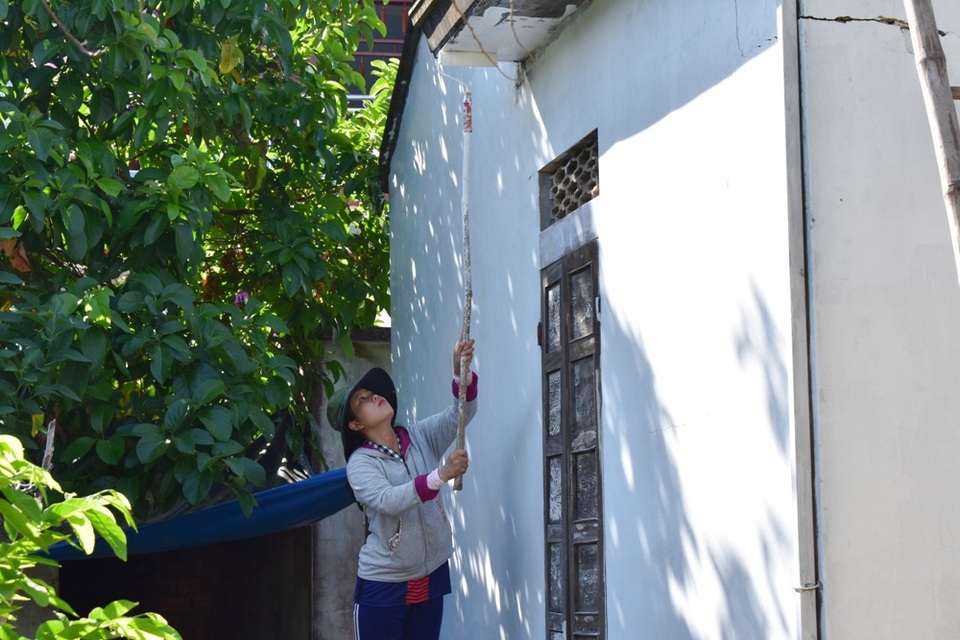 Khám phá làng bích họa của sinh viên ở xã đảo Tam Hải - 14 Khám phá làng bích họa của sinh viên ở xã đảo Tam Hải - 14
