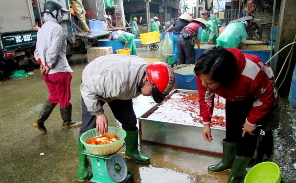 Chợ cá lớn nhất Hà Nội nhộn nhịp trước ngày ông Công ông Táo - 9 Cá chép từ chợ làng Sở Thượng được chuyển đi khắp nơi trong nội thành phục vụ nhu cầu sắm lễ tiễn ông Công ông Táo về trời, cầu sự may mắn, bình an trong năm mới sắp đến.