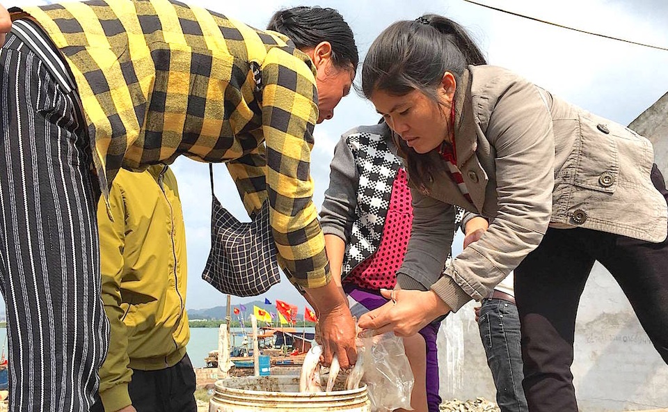 Ngư dân trúng đậm mùa cá cháo, cá hố - 2 Người dân mua nhỏ lẻ cá cháo.