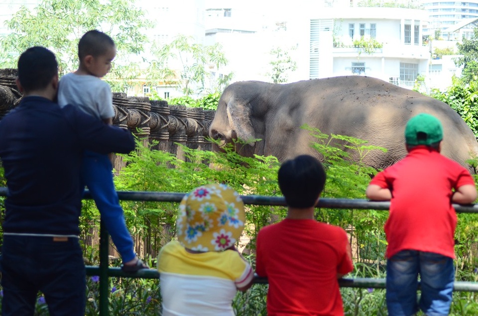 Đến Thảo Cầm Viên để… chọc phá thú (?!) - 14 Thú cũng có cảm xúc như con người, hãy đối xử với chúng một cách thật nhân văn.