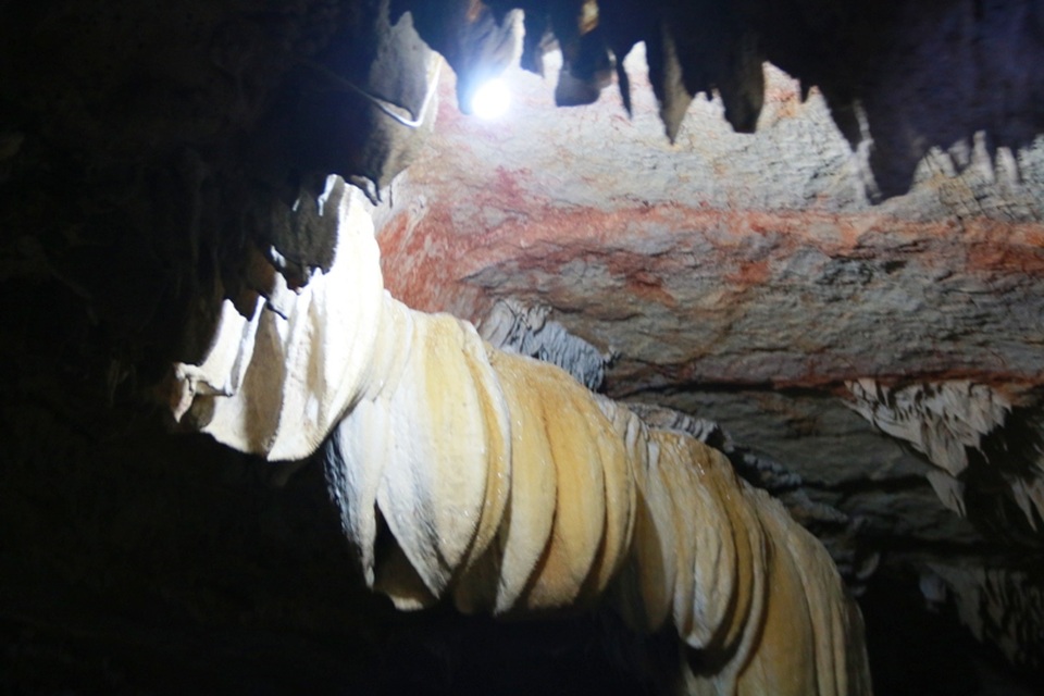 Chiêm ngưỡng vẻ đẹp lung linh của “dải ngân hà trong lòng núi” - 18 Những bông hoa đá đua nhau khoe sắc.