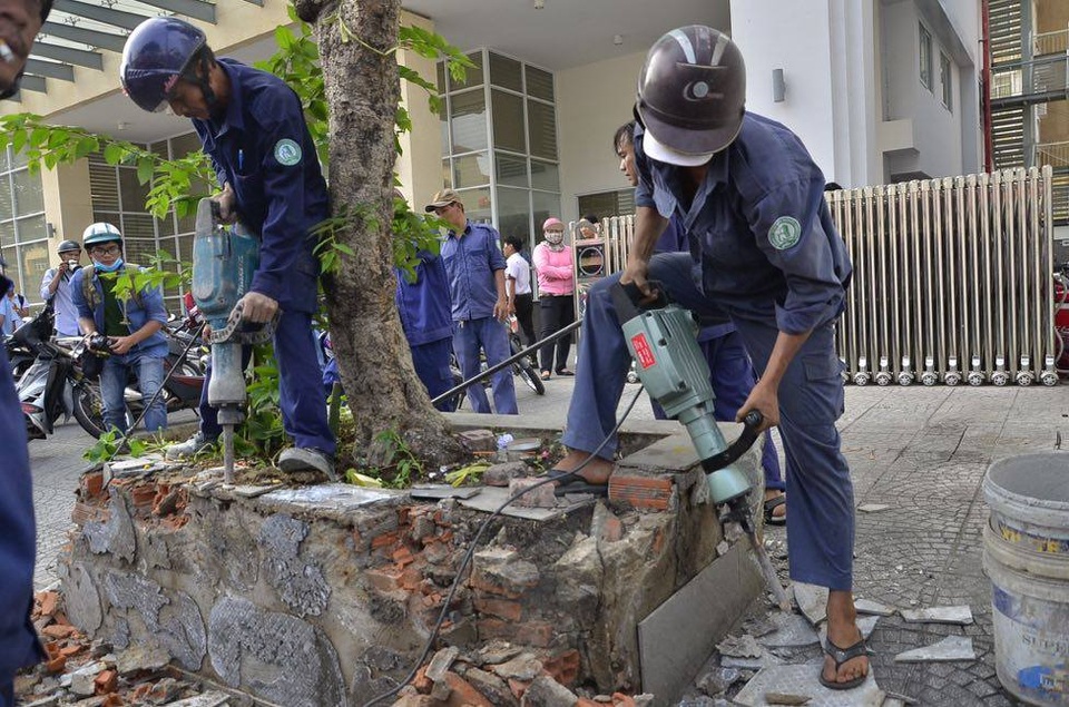 Bứng cây xanh trồng trái phép trên vỉa hè