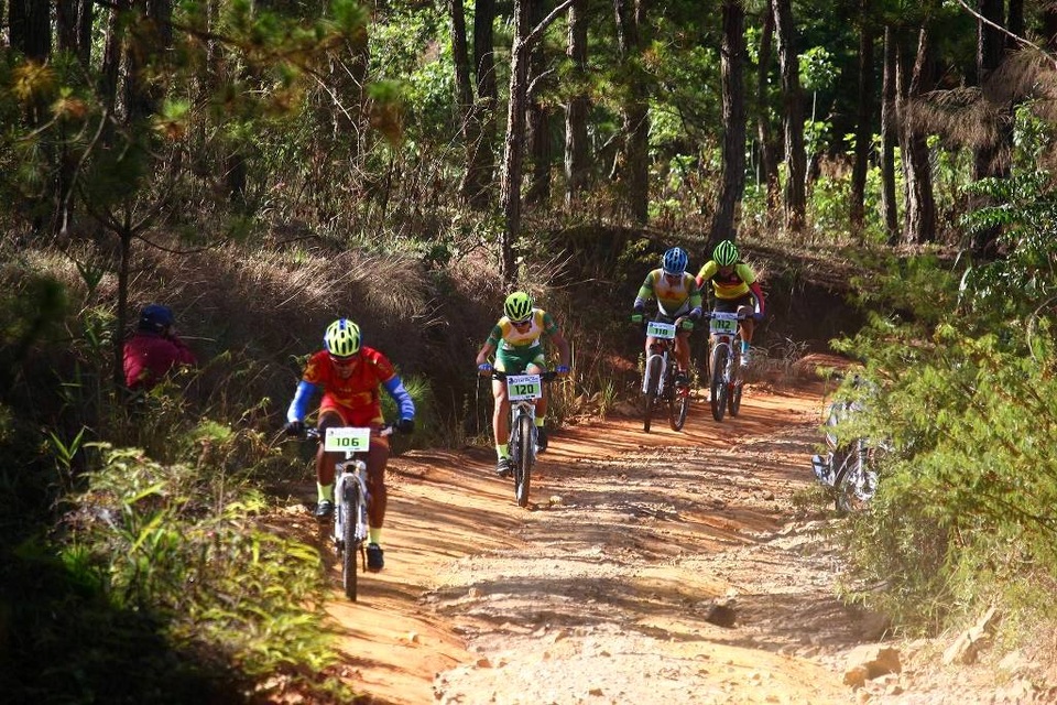 Ngắm các vận động viên xe đạp vượt suối, băng rừng ở Đà Lạt - 5 Các VĐV đang băng qua cánh rừng thông