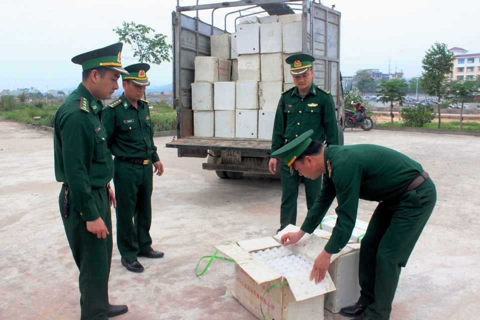 24.000 quả trứng gà nhập lậu bị phát hiện (ảnh CTV)