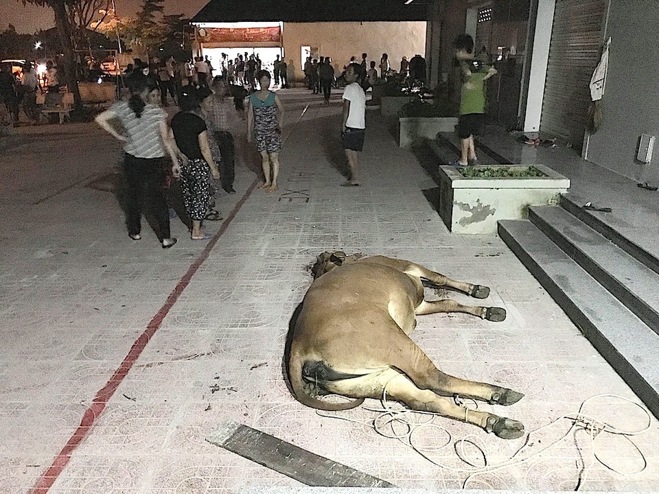 
Theo người dân, thuốc diệt cỏ mà công nhân tại đây sử dụng là NTPHOSATE 480SL.
