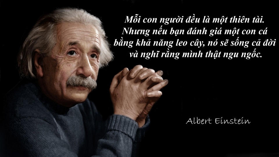 20 câu nói “bất hủ” của thiên tài Albert Einstein - 18