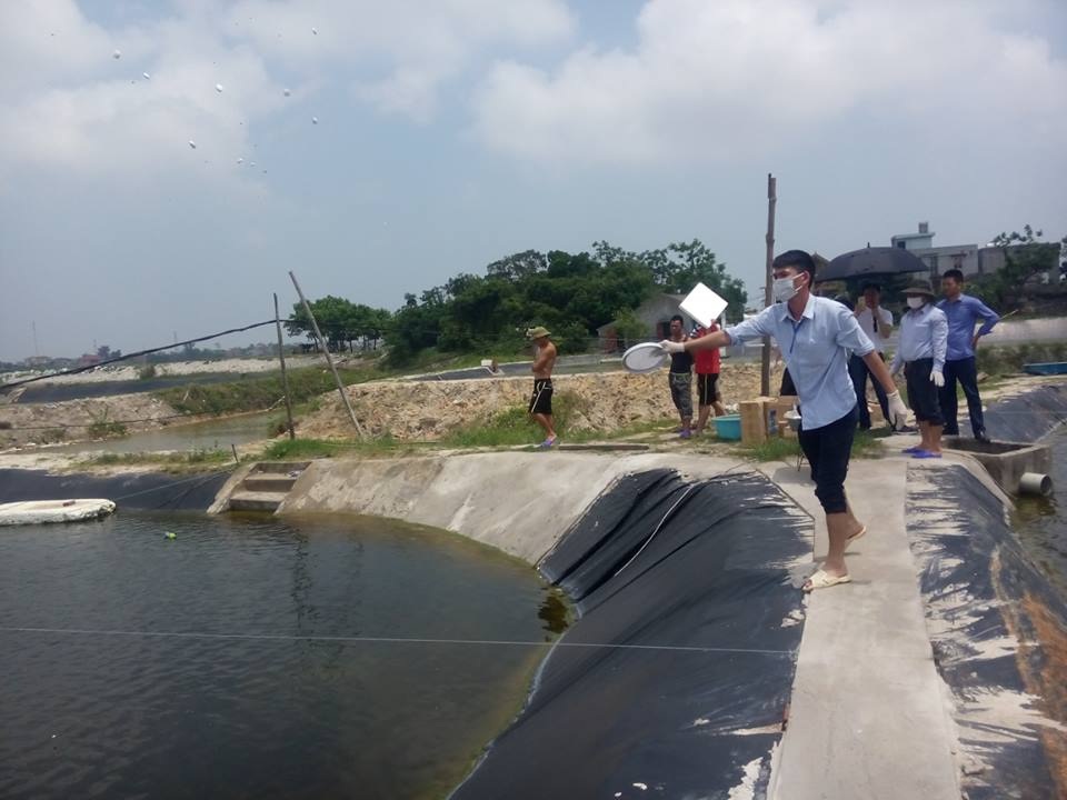 Người nuôi tôm lo lắng trước vi rút đốm trắng và bệnh gan tụy xuất hiện trên tôm nuôi - 1 Hướng dẫn người dân phòng chống dịch bệnh lây lan (ảnh CTV)