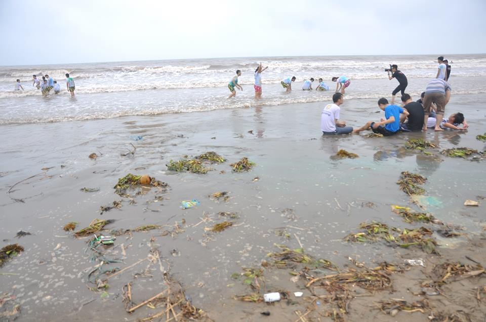 Bèo tây phủ kín bãi biển, ngay dưới chân du khách